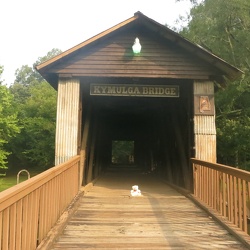 Kymulga
