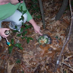 GCF21CUrbanWoods