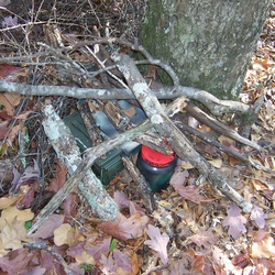 2006