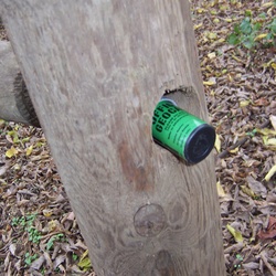 GCM5X0Pecan
