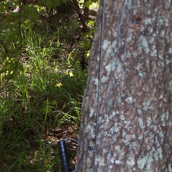 GC14C36Suspense