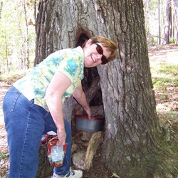 2007